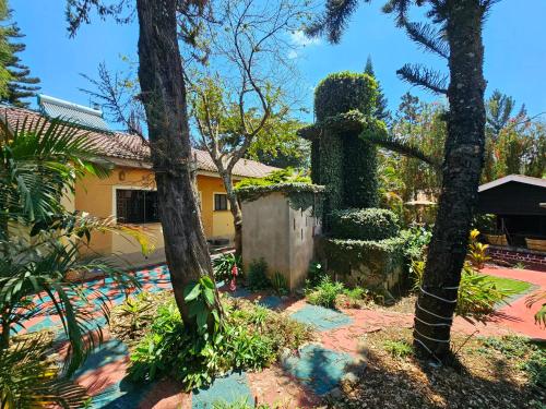 a garden in front of a house at Mazzola Safari House & Backpacking in Arusha