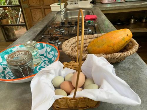 a basket of eggs and a carrot and a basket of eggs at Chalets HUITACA in Choachí