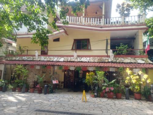 a building with a lot of plants in front of it at Hotel - Museo Xibalba in Palenque