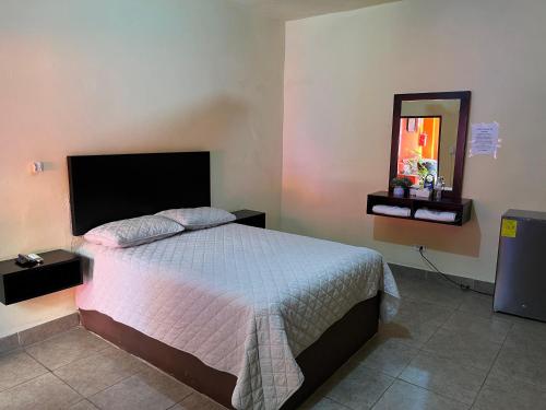 a bedroom with a bed and a mirror at HOTEL POSADA DEL CORTEZ in La Paz