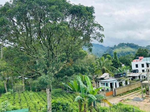 a view of a village with a tree at Peridot Open Sky T Garden in Bandarawela