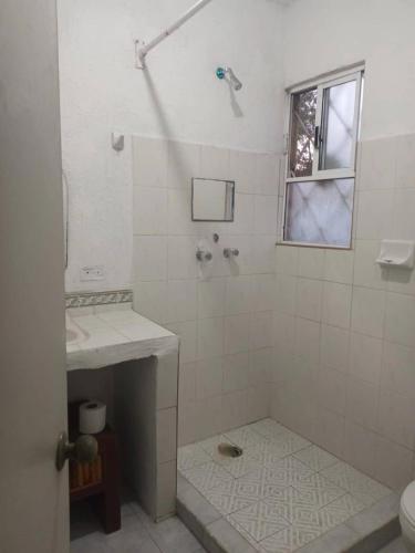 a bathroom with a shower and a sink at Pelicano House in Cancún
