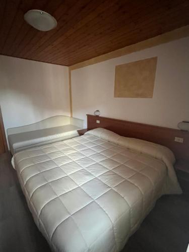 a bedroom with a large white bed in a room at Albergo il Pescatore in Villetta Barrea