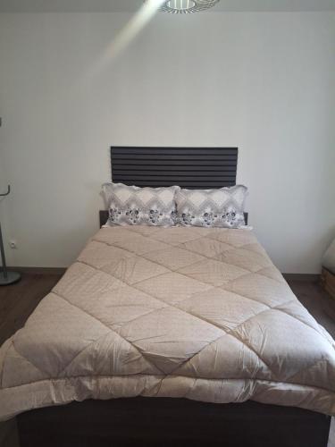 a large bed in a bedroom with a white wall at Appartement loft in Mandeure
