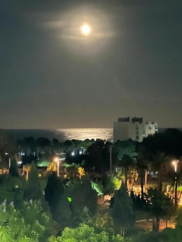 Marina d'Or Playa Les Amplaries Oropesa