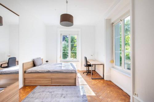 Katil atau katil-katil dalam bilik di Suite Spacieux , Maison de Maître, parking Gratuit, MULHOUSE CENTRE
