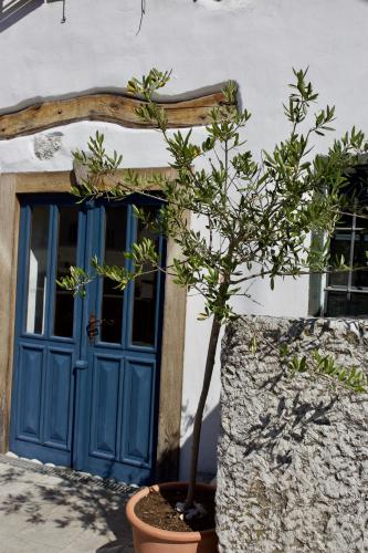 a tree in a pot in front of a door at Room for 2 - Pri B'zjak in Kobarid