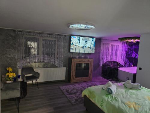a purple bedroom with a bed and a tv at Casa Valy in Buşag