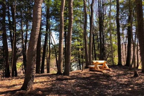 a wooden picnic table in the middle of a forest at Mill Run 3C in Quechee