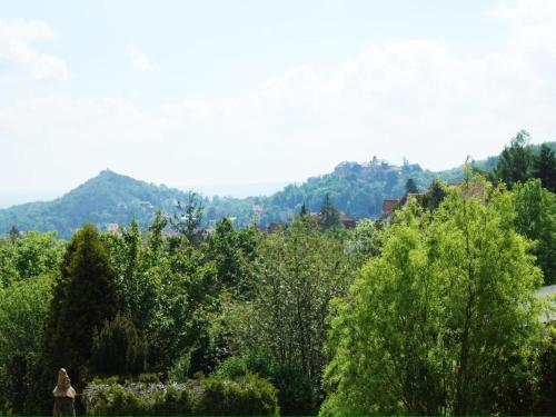 a woman walking through a garden with trees at Hideaway Near Castle Views in Blankenburg