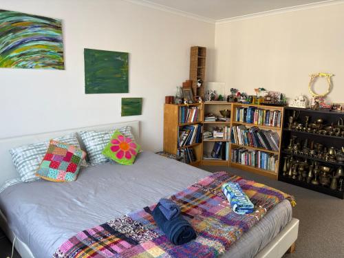a bedroom with a bed and a book shelf at CareGreen BnB in Napier