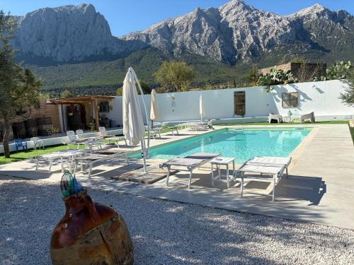a bottle of beer sitting next to a swimming pool at Dimora S'Ena Manna in Oliena