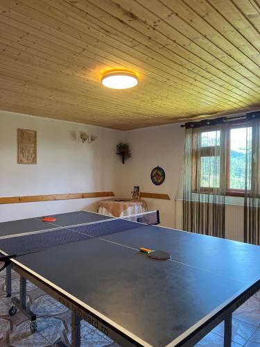 a ping pong table in a room with a ping pong ball at Casa de Vacanta Cascada in Vidra