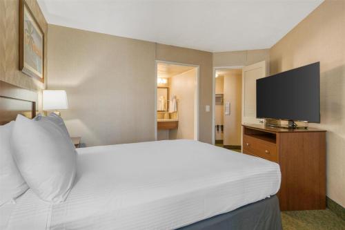 a hotel room with a white bed and a flat screen tv at Best Western Seven Seas in San Diego