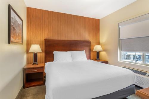 Katil atau katil-katil dalam bilik di Best Western Plus Service Inn & Suites