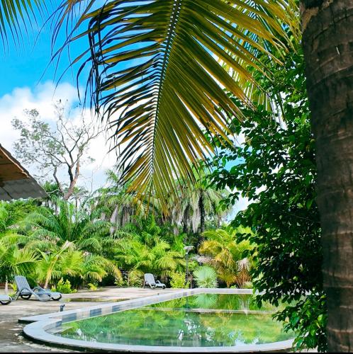 Taman di luar Camping Casamance