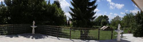 a fence in front of a yard with trees at Pension Griebel in Buoch