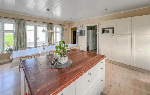 a kitchen with white cabinets and a table with a potted plant at Luxurious Home In Kleppe With Wifi in Orre