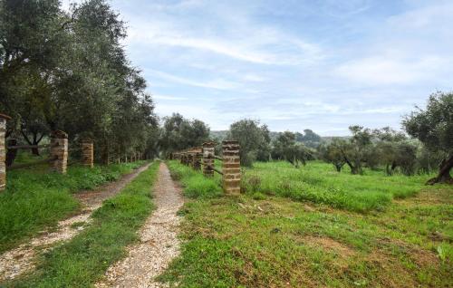 a dirt road in a field with a fence at 3 Bedroom Cozy Home In Vignanello in Vignanello
