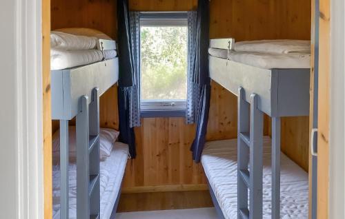 two bunk beds in a room with a window at Awesome Home In Kolbjørnsvik With House Sea View in Skarvedalen