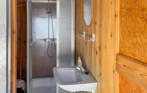 a bathroom with a white sink and a shower at Awesome Home In Kolbjørnsvik With House Sea View in Skarvedalen