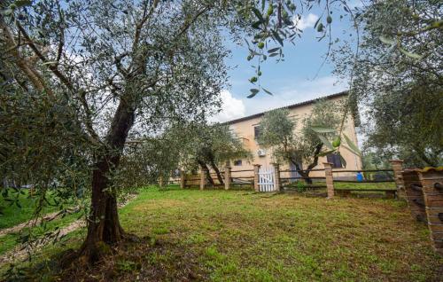 una casa con un árbol en el patio en Awesome Home In Vignanello, en Vignanello