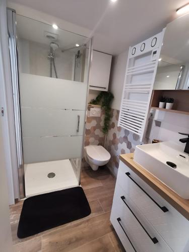 a bathroom with a shower and a toilet and a sink at Studio aux portes du Puy duFou in Les Herbiers