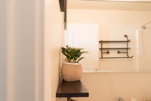 a plant in a pot sitting on a shelf in a bathroom at City Views Walk to Calgary Tower and Stampede in Calgary