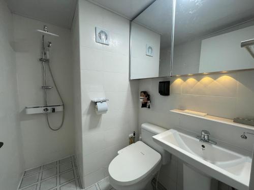 a white bathroom with a toilet and a sink at 복층 오피스텔 in Tujŏng-dong