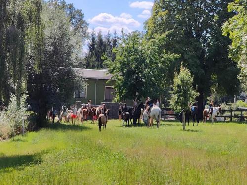 a group of people riding horses in a field at Tiny House near Dresden in Lauterbach