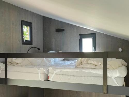 two beds in a room with two mirrors at Tiny House near Dresden in Lauterbach