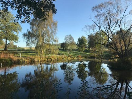 a pond in a park with trees and grass at Tiny House near Dresden in Lauterbach