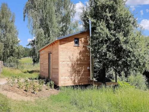 a small wooden shed in a field with a tree at Tiny House near Dresden in Lauterbach