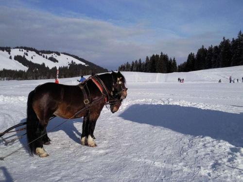 Gallery image of Alpenblick cable car incl in Balderschwang