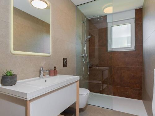 Un baño con lavabo, ducha e inodoro. en Visa Residence Labin, en Labin