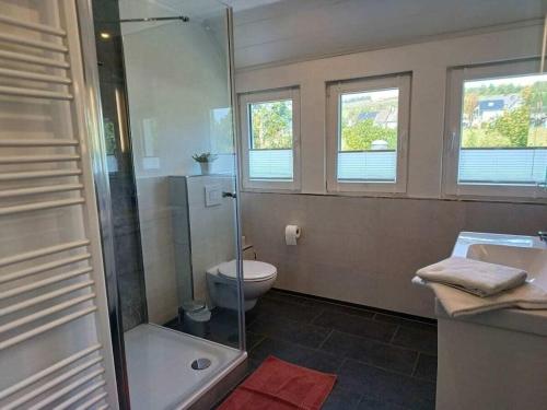Un baño con ducha, inodoro y lavabo. en Holiday home with 8 bedrooms, en Erndtebrück
