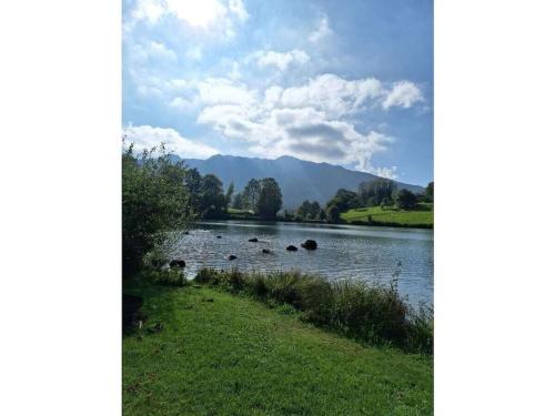 a lake with a group of animals in the water at Chalet Hochgern in Staudach-Egerndach