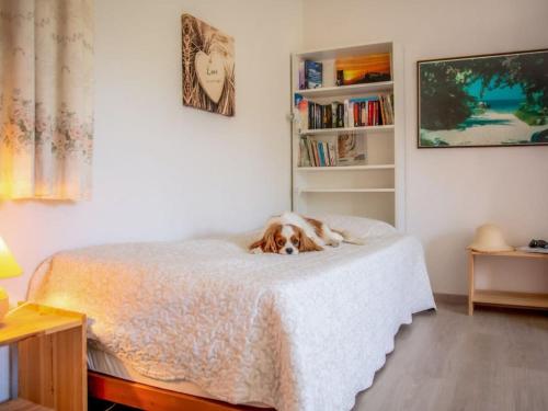 a dog laying on a bed in a bedroom at in southern France La Bastide in Saint-Julien-de-Peyrolas