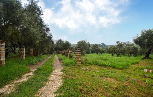 un camino de tierra en medio de un campo en Awesome Home In Vignanello, en Vignanello