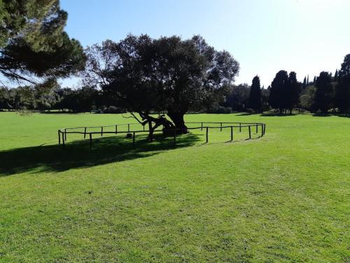 Gambar di galeri bagi Villa in Pula with swimming pool di Štinjan