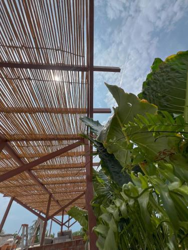 a bamboo roof on top of a building with plants at Casa Xaviera in Puerto Escondido