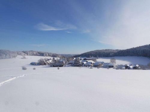 a field covered in snow with houses and trees at Holiday home with 3 bedrooms in Oberdigisheim