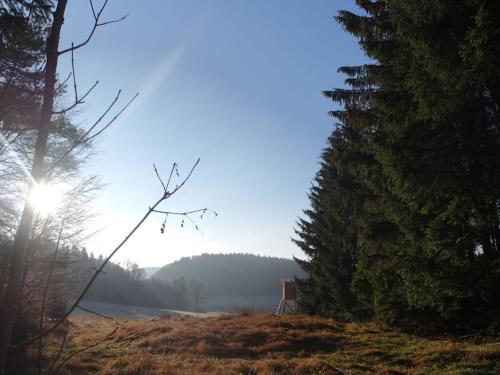a field with trees and the sun in the sky at Holiday home with 3 bedrooms in Oberdigisheim