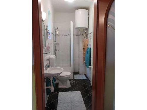 a bathroom with a toilet and a sink at Müller's holiday home Waldhof in Döbrököz Vasútállomás