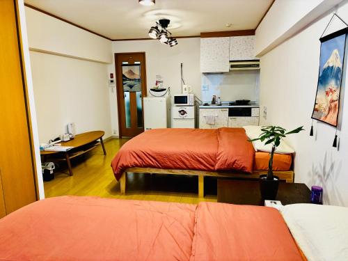 Tokyo Ami House