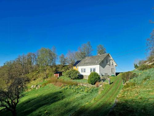 ein weißes Haus auf einem grasbewachsenen Hügel in der Unterkunft Family Cabin By The Fjord In Tysnes in Uggdalseidet