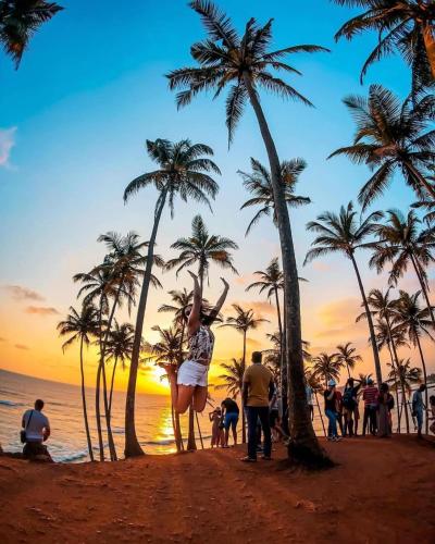 a group of people standing on a beach with palm trees at Amible Guest Home in Mirissa