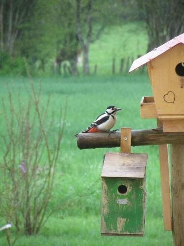 a bird is sitting on a bird house at Le relais des deux tours in Brémondans