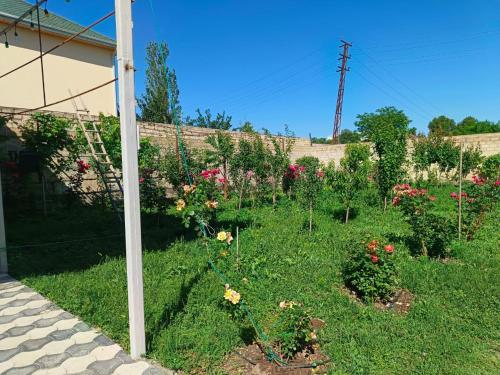 Un jardín fuera de Farid HOSTEL