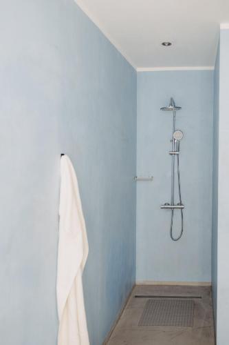 a shower in a bathroom with a blue wall at Apartment Franz in Neutal